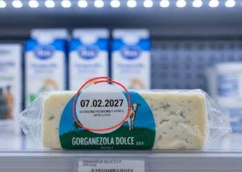 Aldi Nord Käse Rückruf: Gorgonzola mit falschem MHD – Diese Filialen sind betroffen