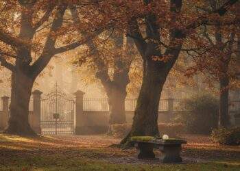 Angelika Mann tot: DDR-Ikone „Die Lütte" mit 76 Jahren gestorben