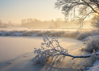 Bauernregel 9. Januar: Sankt Julian bricht das Eis 2026