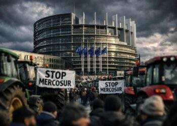 EU-Parlament Mercosur: EuGH soll Abkommen prüfen