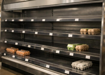 Eier knapp im Supermarkt: Darum stehen die Regale leer – droht ein Engpass zu Ostern?