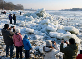 Eisberge Elbe Hamburg: Meterhohe Eiswand bei Geesthacht