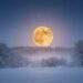 Schneemond Februar 2026: Wann der Vollmond zu sehen ist und warum er so besonders ist