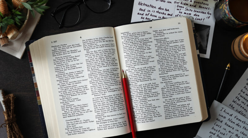 Warum ist „Sondervermögen" das Unwort des Jahres 2025?