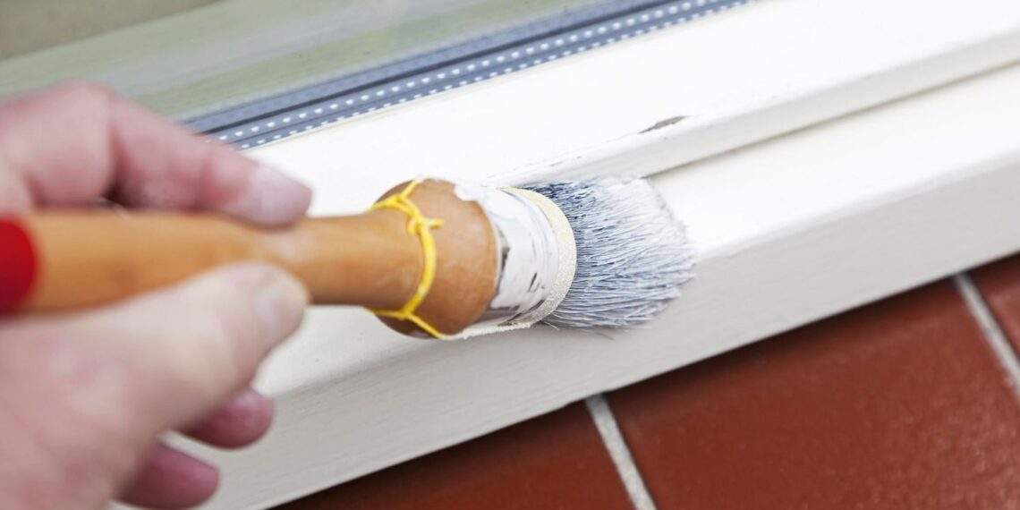 Achtung vor Bioziden: Was Sie beim Kauf von Anti-Schimmel-Farbe beachten sollten