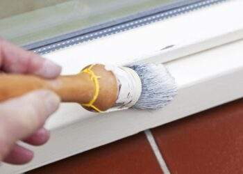 Achtung vor Bioziden: Was Sie beim Kauf von Anti-Schimmel-Farbe beachten sollten