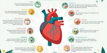 cholesterin senken 2026-Titel