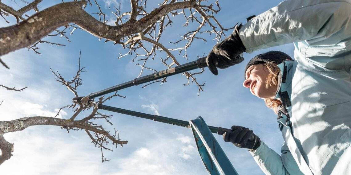Gartenarbeit Februar