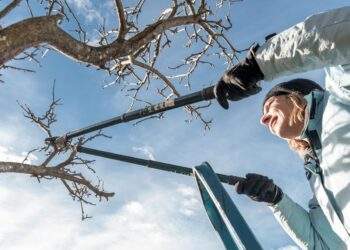 Gartenarbeit Februar