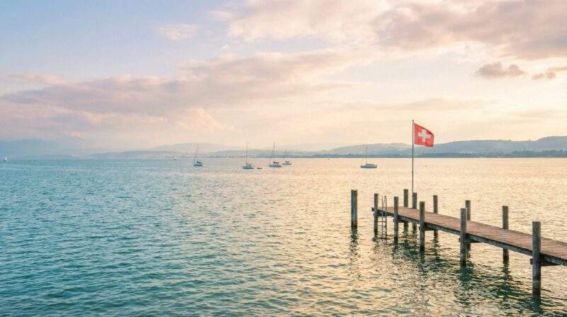 Schweizer Waffen SS Gaza-Krieg – Schweizer Anwälte zeigen Bundesrat Cassis in Den Haag an