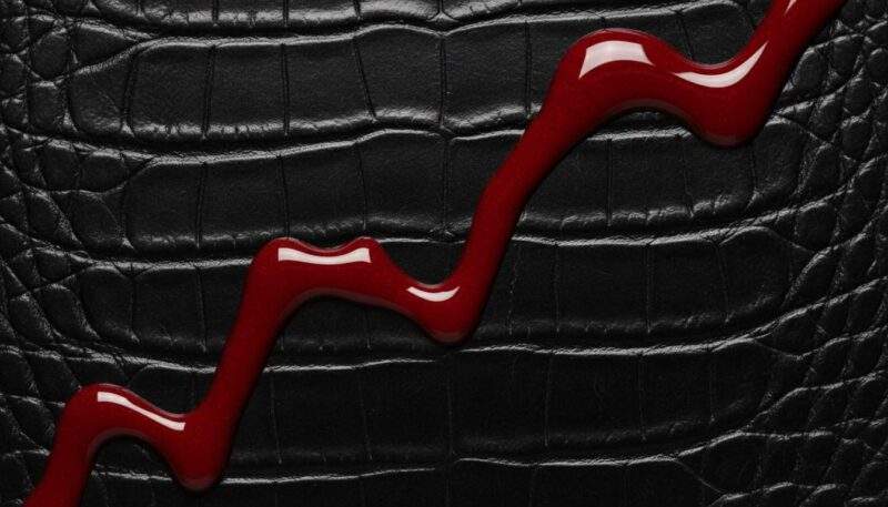 Salafisten-Treffen Duisburg: Szene im Visier des Staates