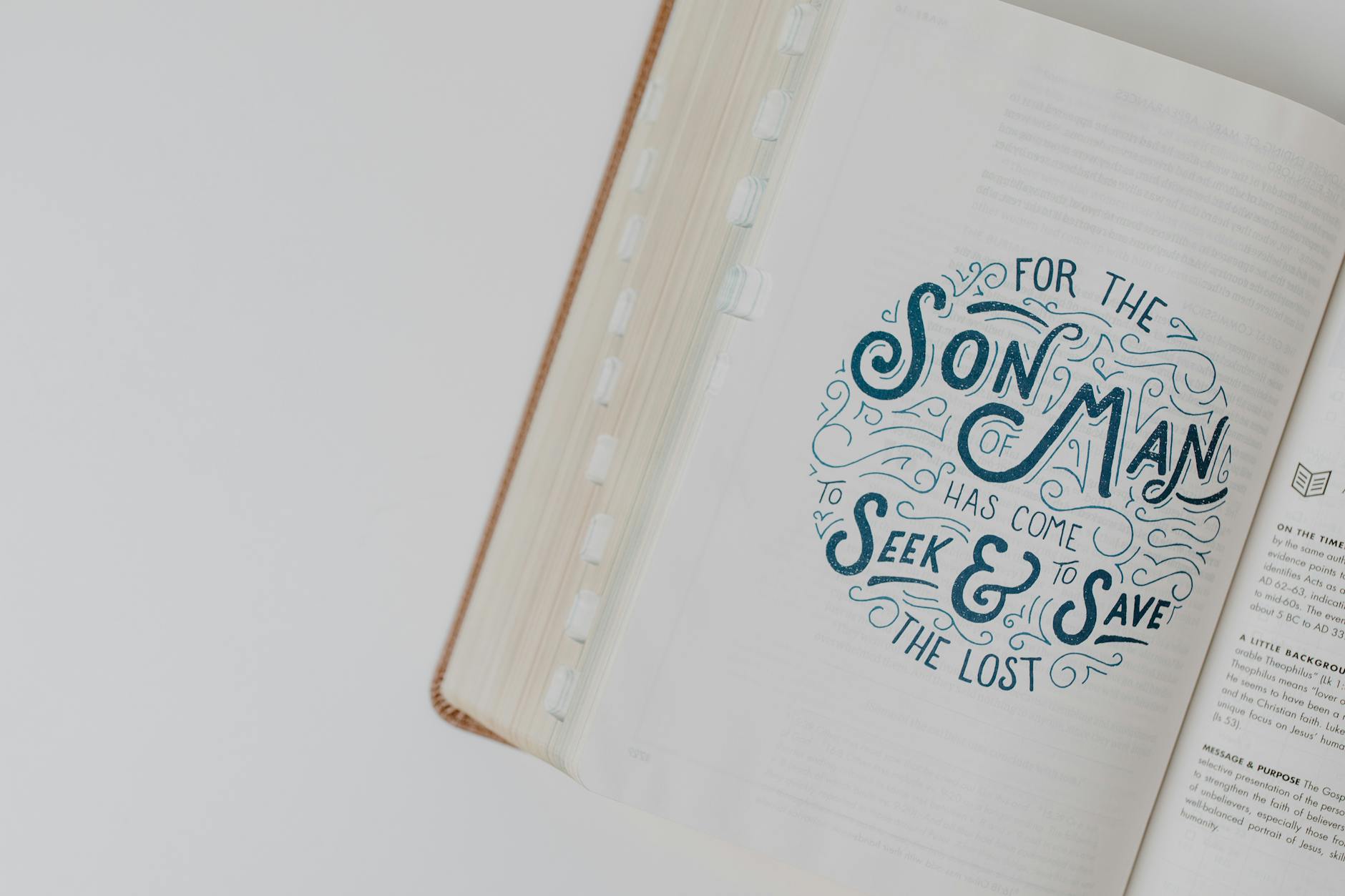 Christian Wulff Karneval