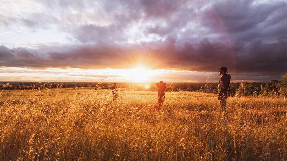 Schwertransporter Rammt