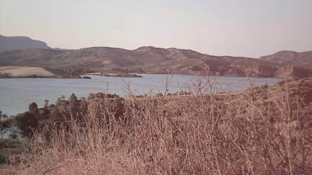 Illustration zu Abfallmanagement Unternehmen