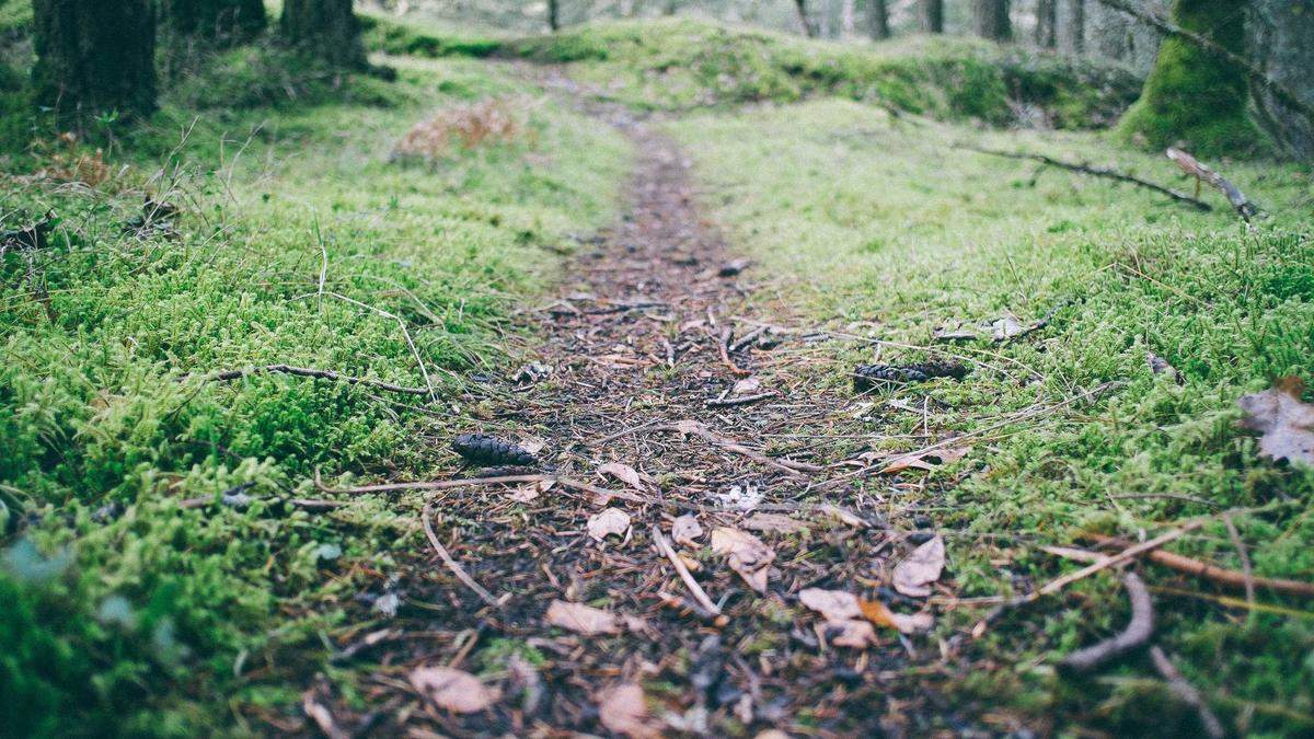 Detailansicht: Aktionsplan Rechtsextremismus