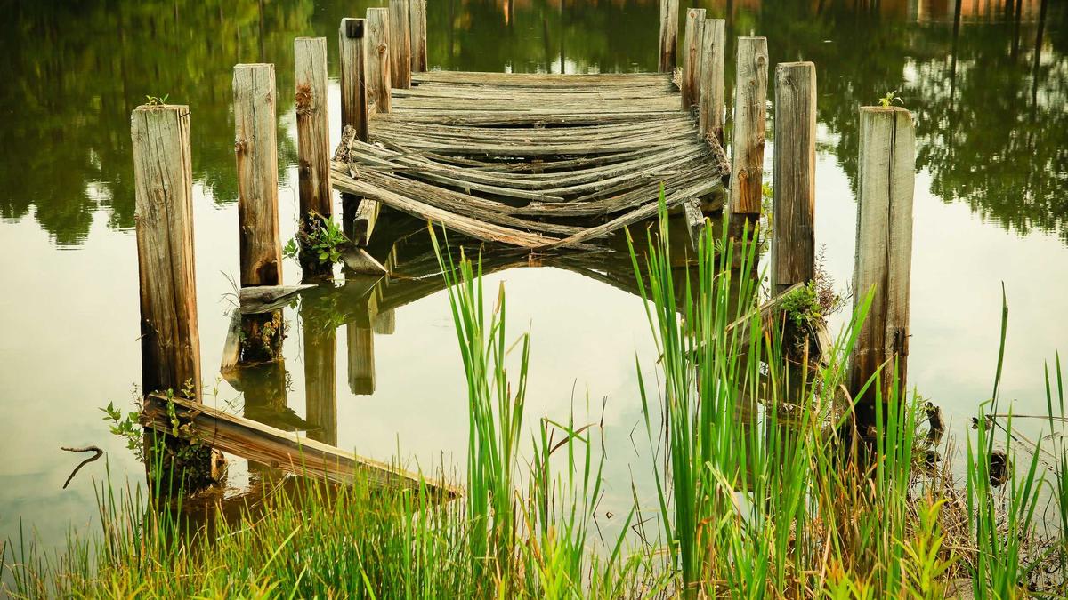 Symbolbild zum Thema Allgemeinwissen Quiz