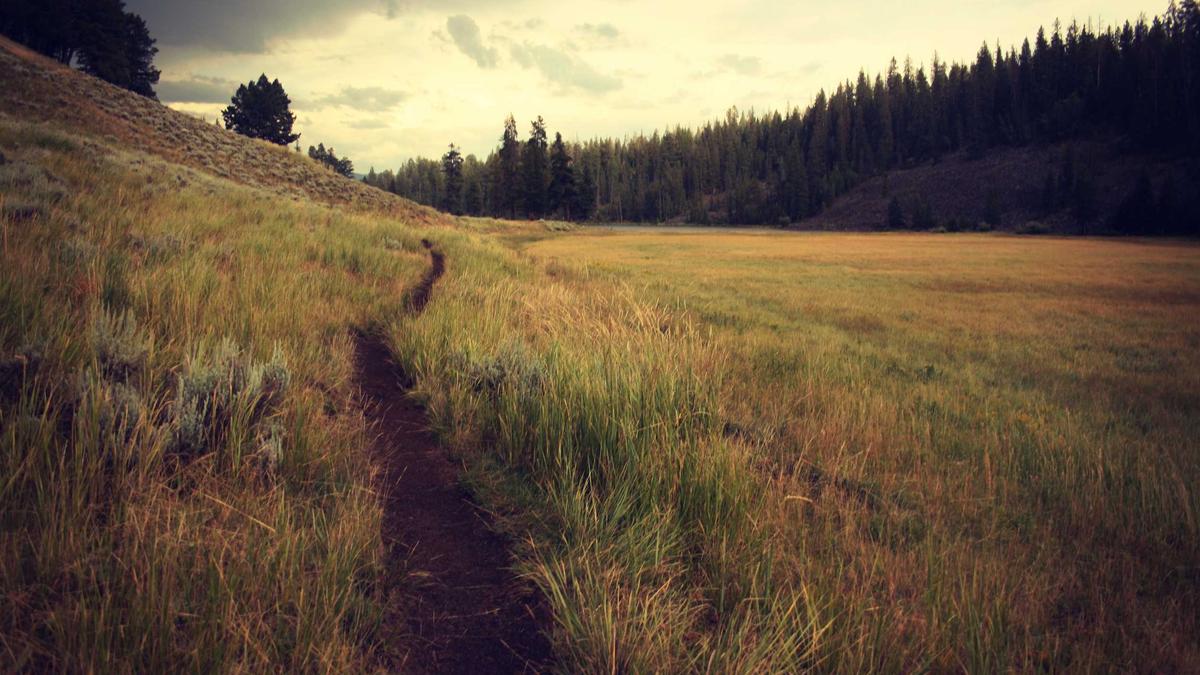 Detailansicht: Andrzej Cibis Baby