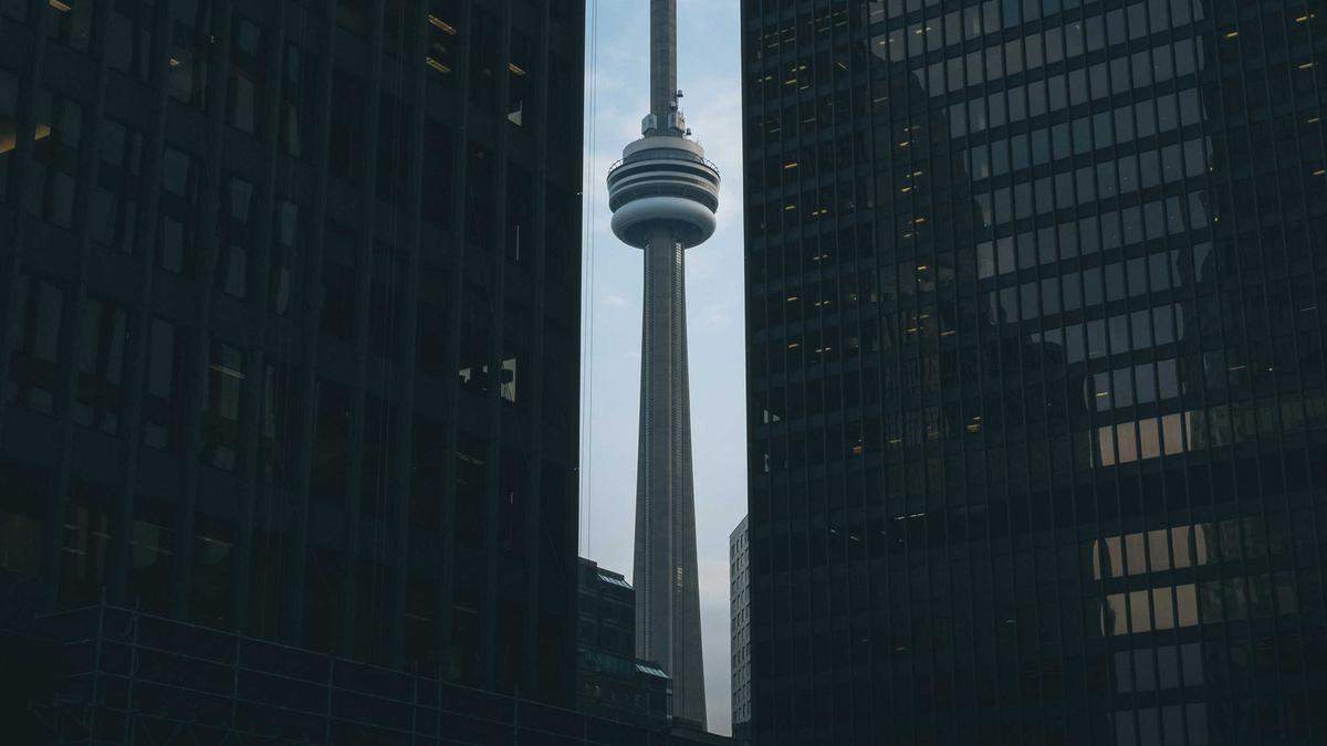 Symbolbild zum Thema Ann-kathrin Bendixen Neuseeland