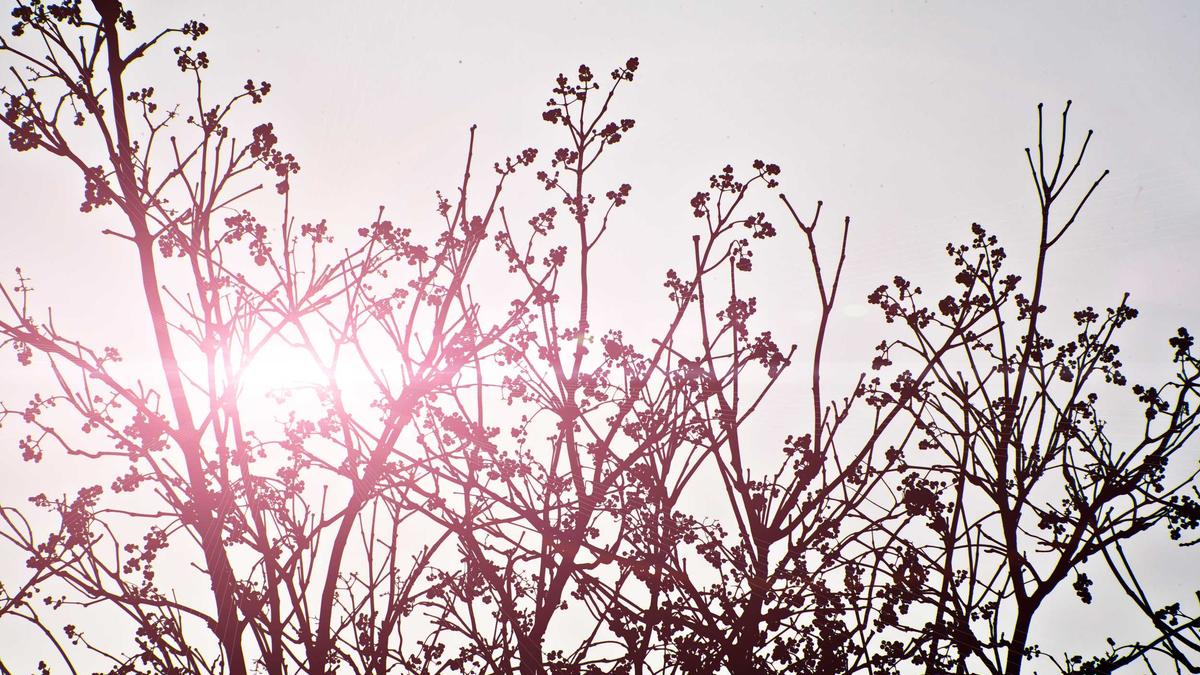 Symbolbild zum Thema Antifeminismus Deutschland