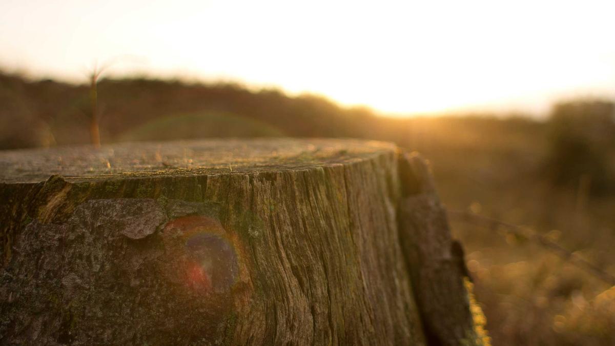 Detailansicht: Att Investition Netzausbau