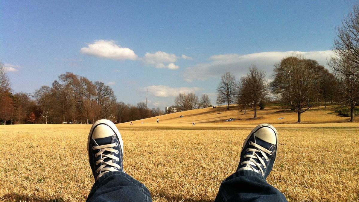 Autounfall Schönbrunn Symbolbild zum Thema Autounfall Schönbrunn