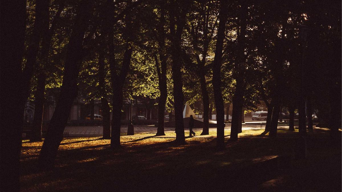 Detailansicht: Ayrton Senna Tod