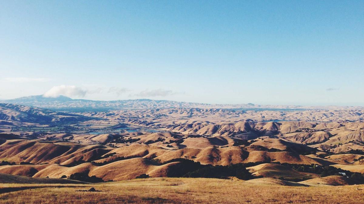 Symbolbild zum Thema Bayern Dortmund