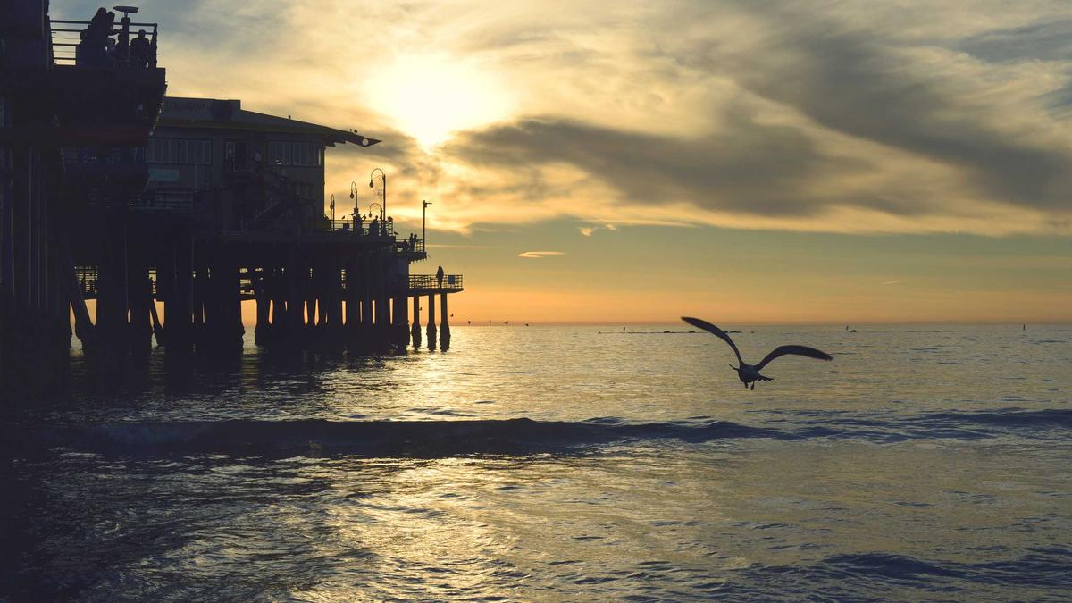 Illustration zu Bedrohung Fleischhammer Schule