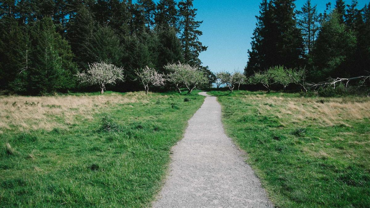 Ben Tewaag Randale Detailansicht: Ben Tewaag Randale