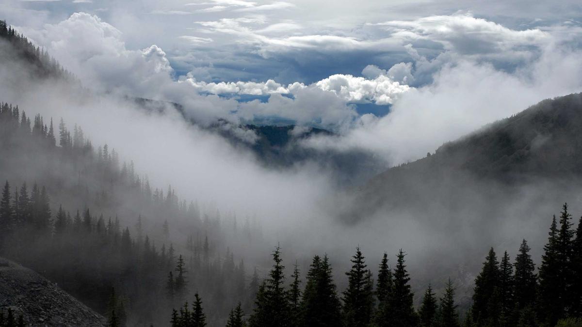 Berauscht Carport Unfall Illustration zu Berauscht Carport Unfall