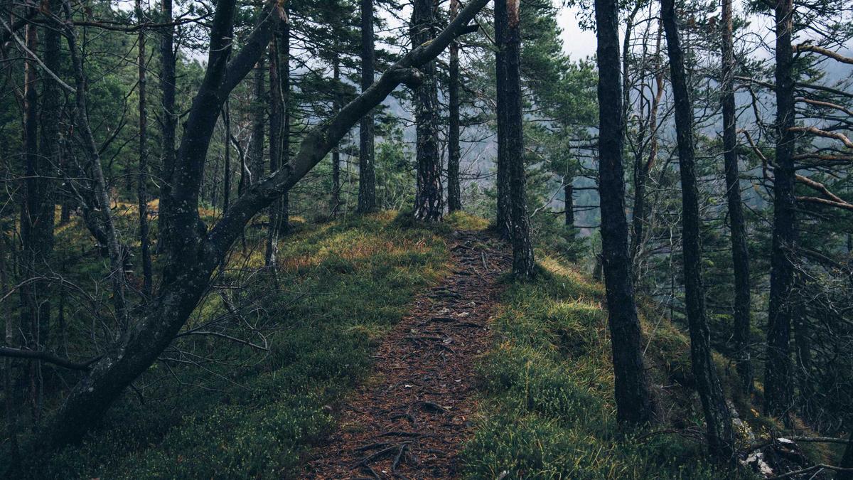 Berlinale Zensurvorwürfe Detailansicht: Berlinale Zensurvorwürfe