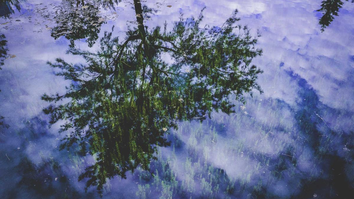 Illustration zu Beschädigter Außenspiegel