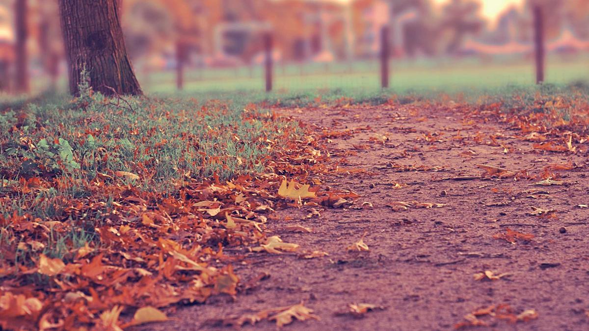 Detailansicht: Besoldung