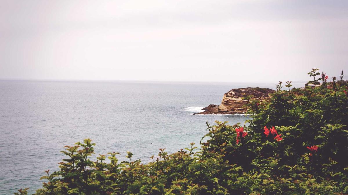 Illustration zu Beste Comedy Serie 2025