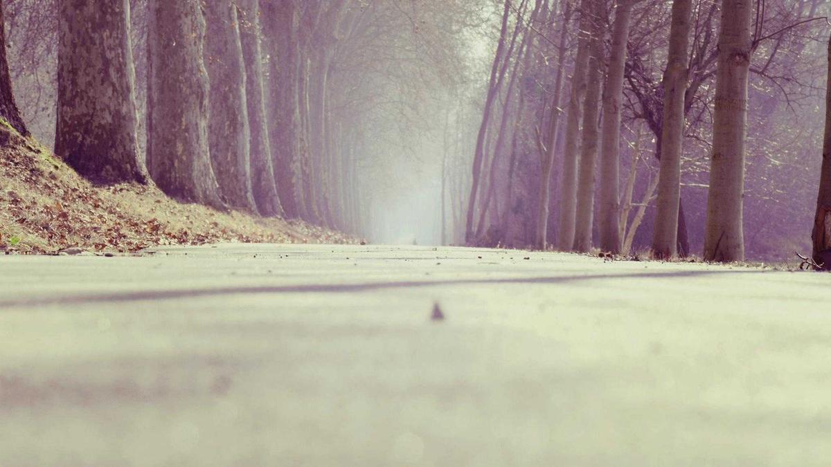 Symbolbild zum Thema Betrunkene Fahrerin