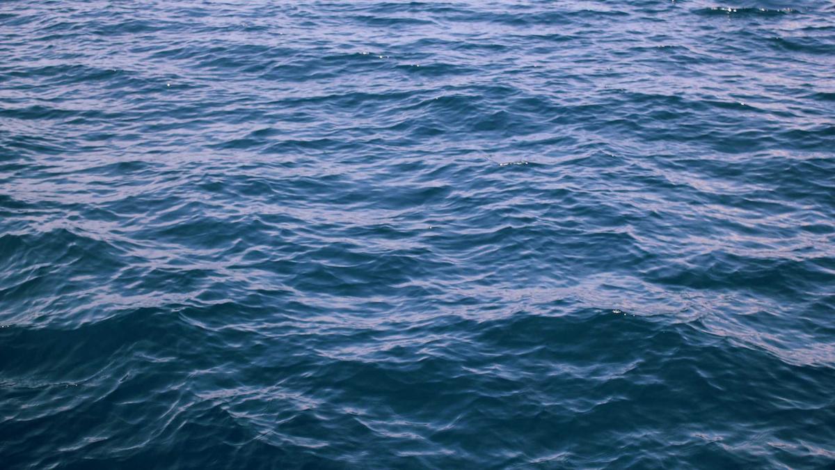 Detailansicht: Binnenschiff Brückenkollision