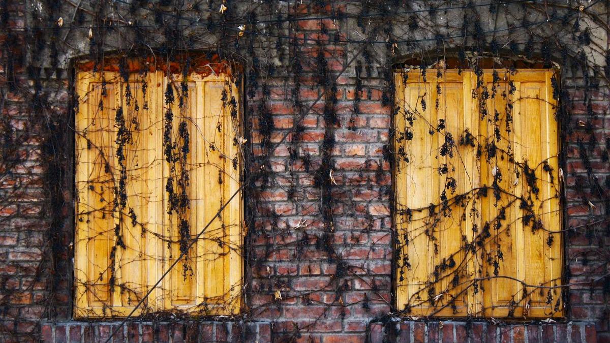 Brand Königsfeld Detailansicht: Brand Königsfeld