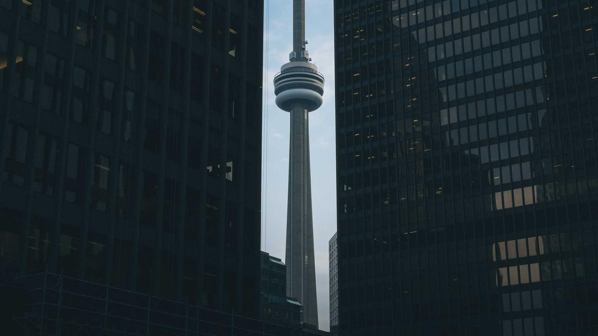 Buchsbaumzünsler Bekämpfen Symbolbild zum Thema Buchsbaumzünsler Bekämpfen