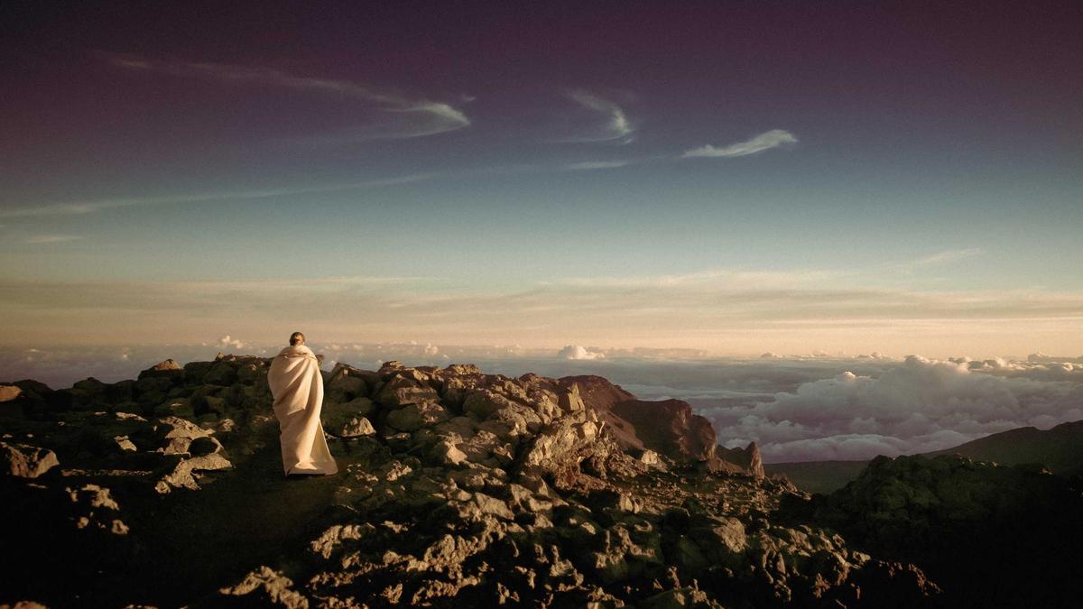 Illustration zu Buckelwal Ostsee