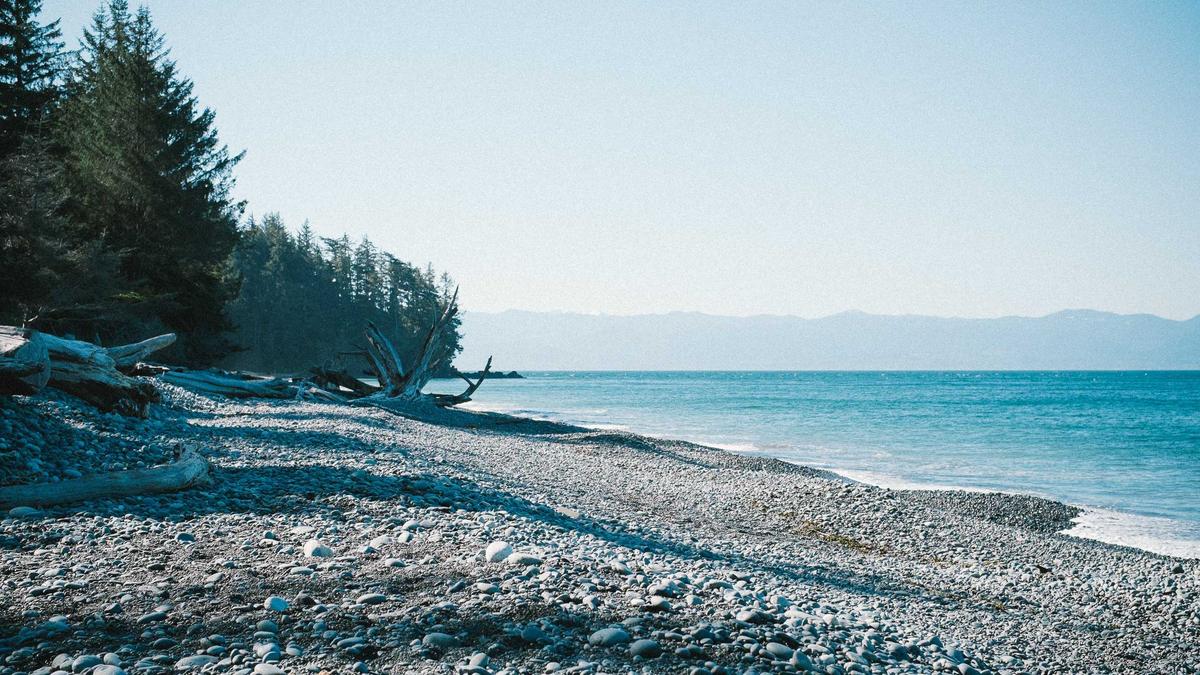 Illustration zu Buckelwal Timmendorfer Strand