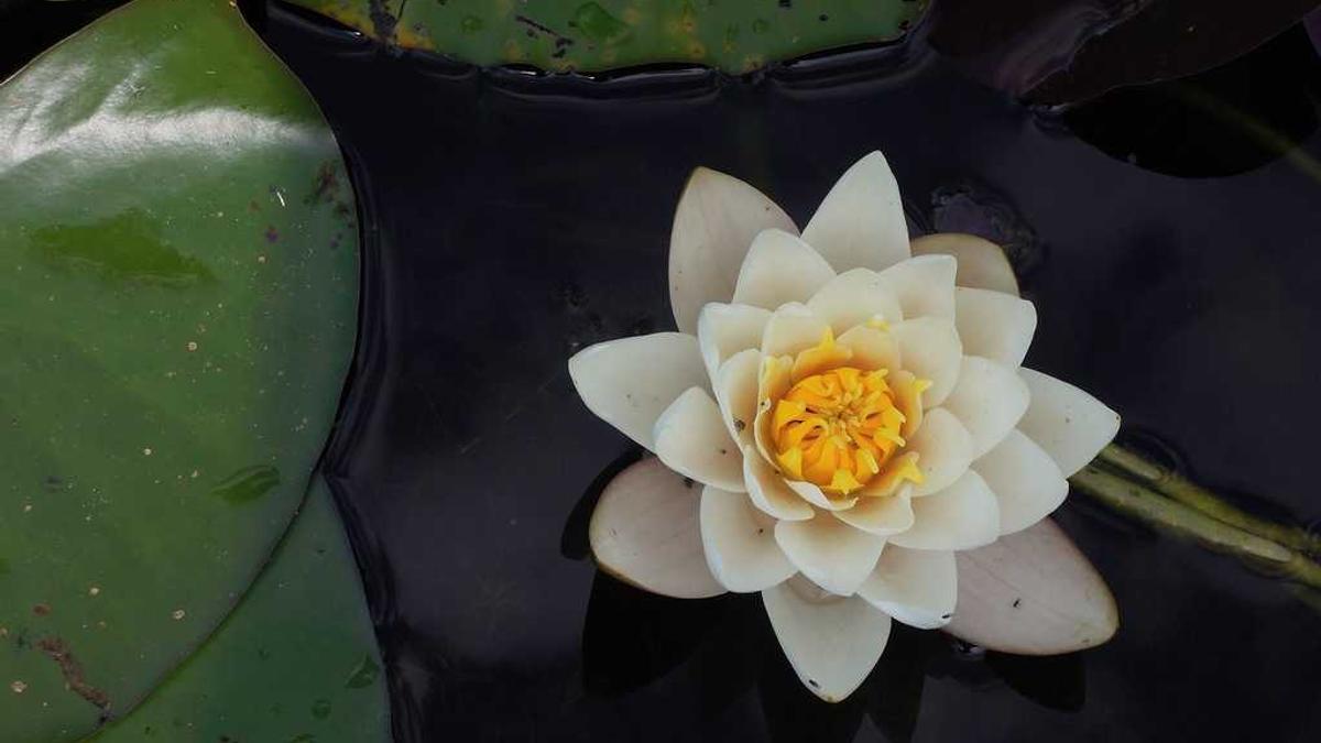 Büro Zu Wohnung Detailansicht: Büro Zu Wohnung