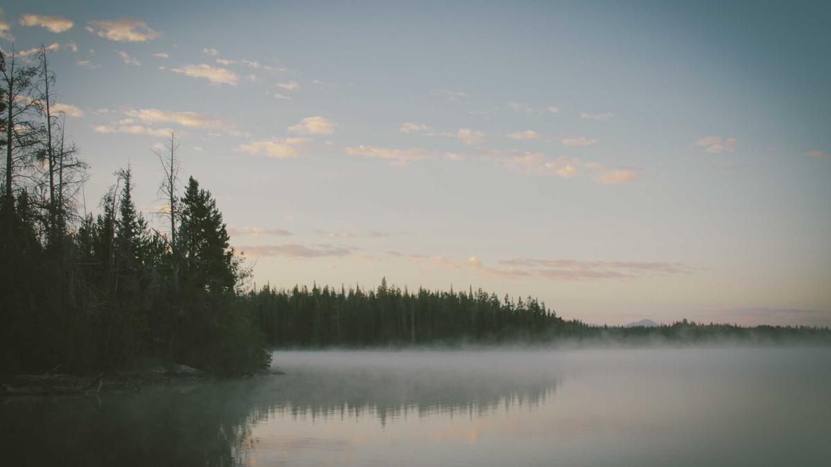 Illustration zu Carlo Ancelotti Karneval