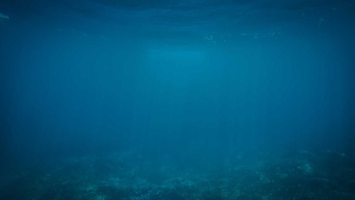 Symbolbild zum Thema Chlorothalonil Verkaufsverbot