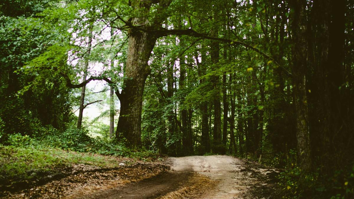 Symbolbild zum Thema Christina Block Prozess