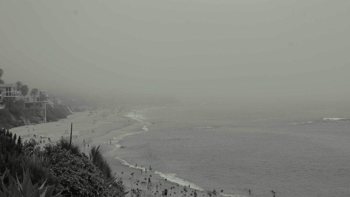 Illustration zu Daniel Thioune Werder