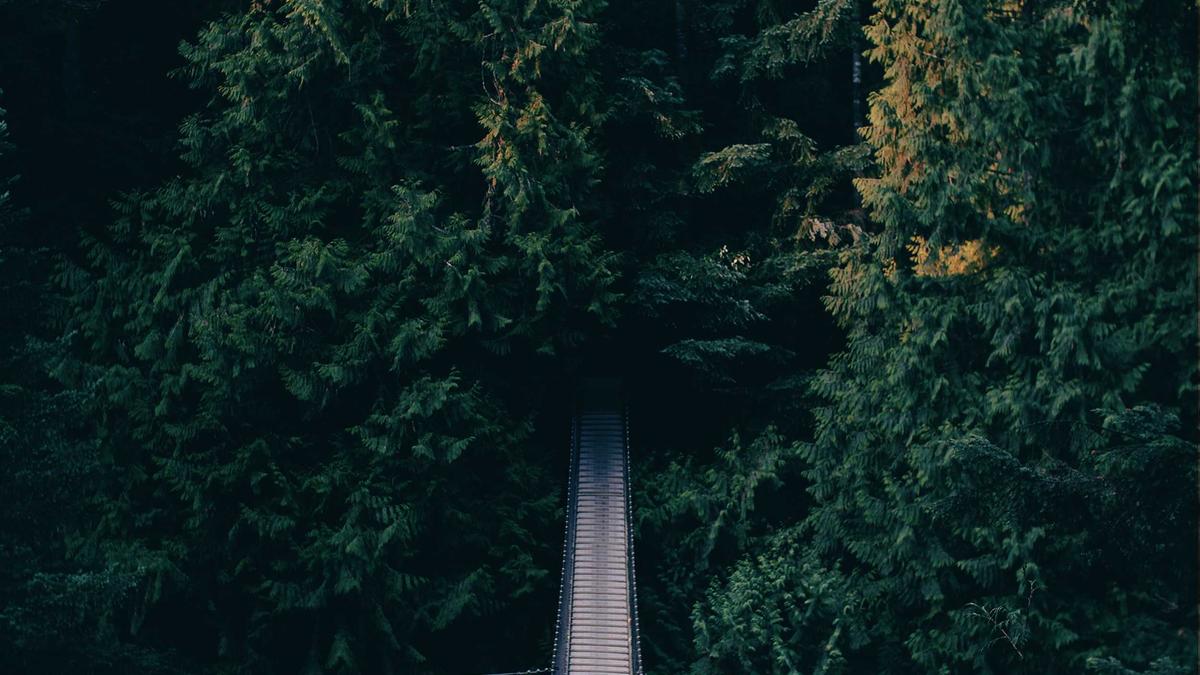 Symbolbild zum Thema Delivery Hero Aktionär