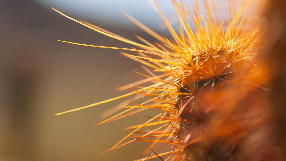 Illustration zu Douglas Gewinnrückgang