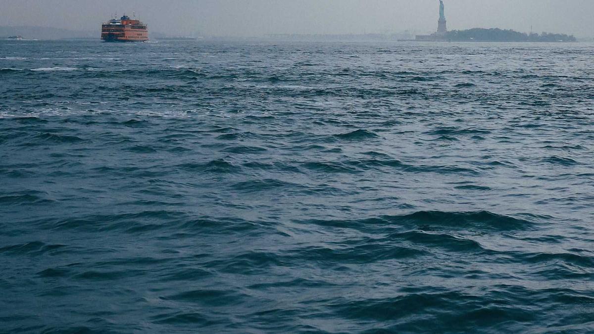 Detailansicht: Drake Maye