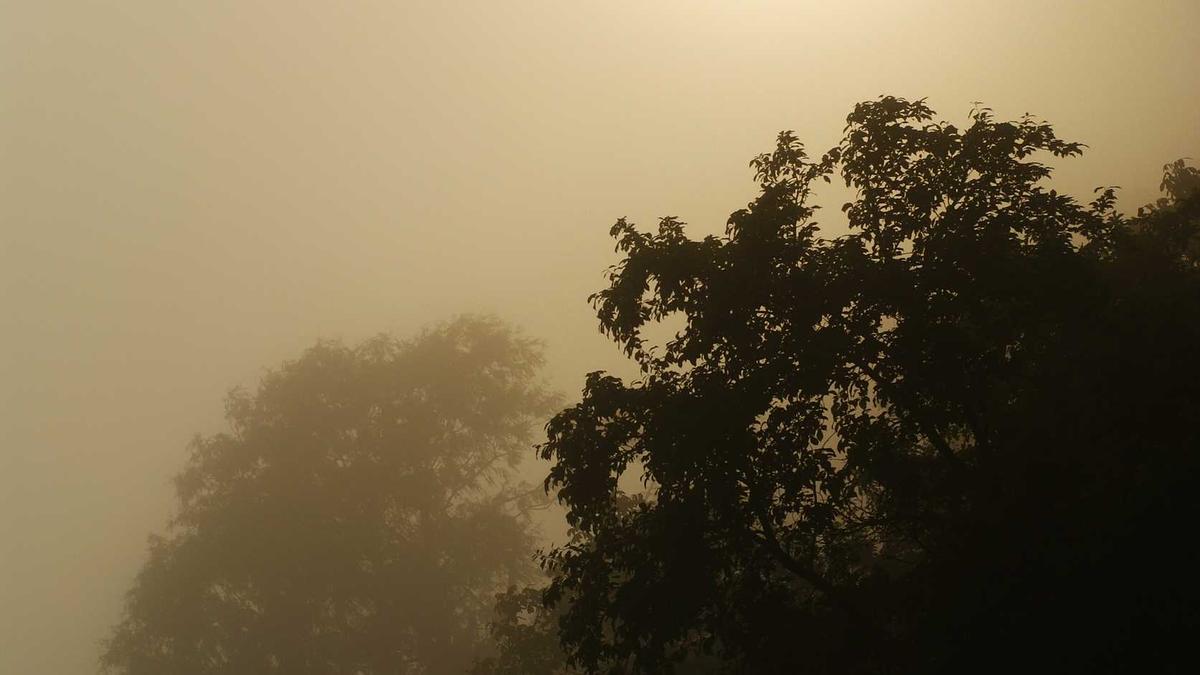 Detailansicht: Dresden Haftbefehle