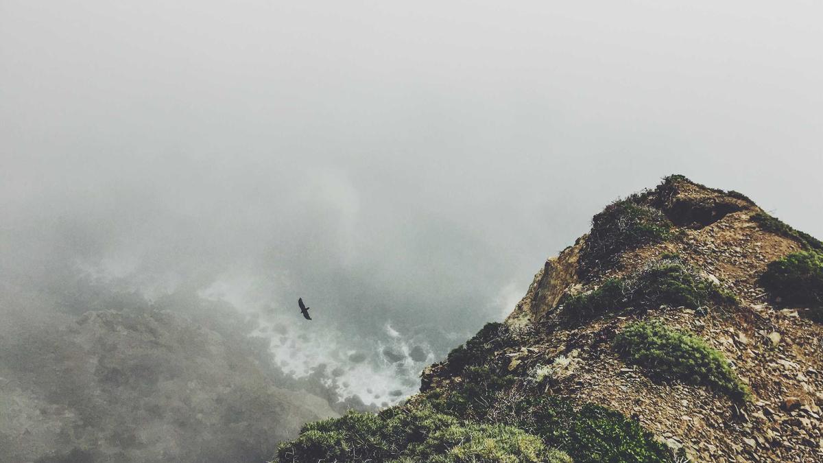 Symbolbild zum Thema Dschungelcamp Gewinner 2026